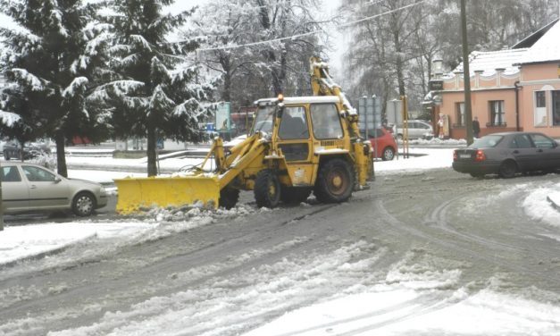 Zimske službe u akciji