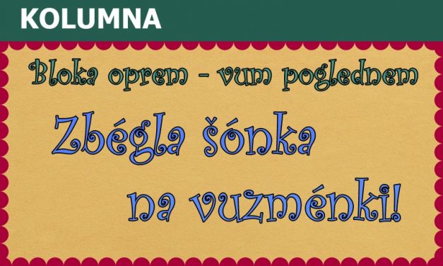 Zbégla šónka na vuzménki!