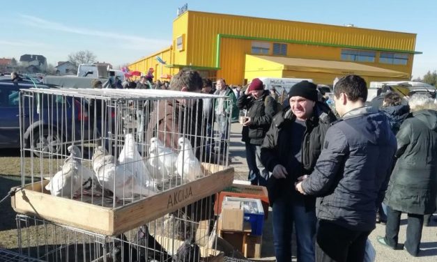 Najava: Prvi proljetni sajam malih životinja u Nedelišću