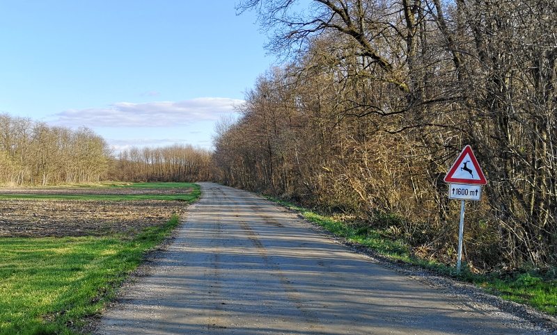 Da li će biti asfaltirana cesta Slakovec – Šenkovec?