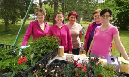 Udruga žena Pretetinec organizira Sajam cvijeća i nagradni natječaj